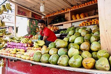 A traditional south Indian market stall selling lots of coconuts. The moustached male fruit seller looks directly at the camera.