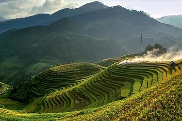 Pamoramic views of Vietnamese ricefields