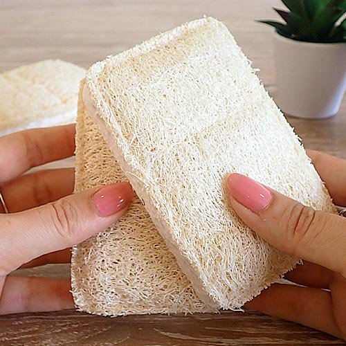 A close up image of a womans hands holding 2 loofan and cellulose biodegradable washing up sponges. You can see the natural texture of the loofah.