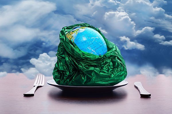 The globe in a plastic bag on a food plate